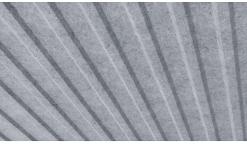 Lamiera del tetto con feltro